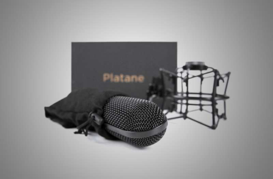 About Platane 双语介绍25